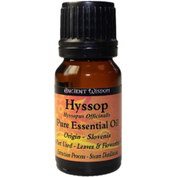 Essential Oil Hyssop
